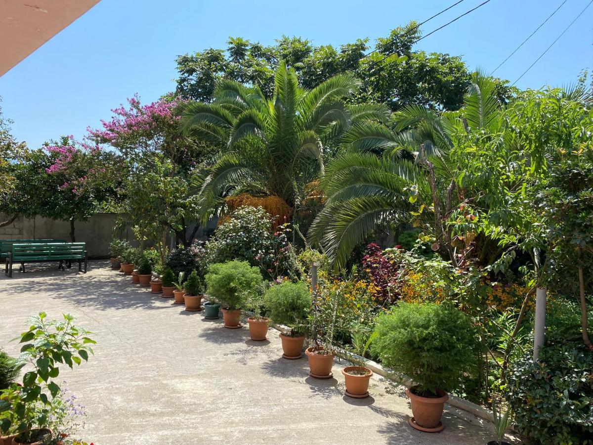 Villa Jakos Paradise Batumi Exterior foto